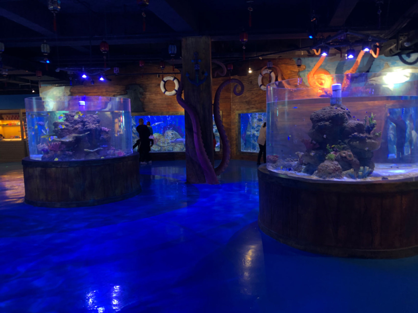 அக்ரிலிக் மீன் தொட்டி வாழ்க்கை ஆதரவு அமைப்பு அறிமுகம்